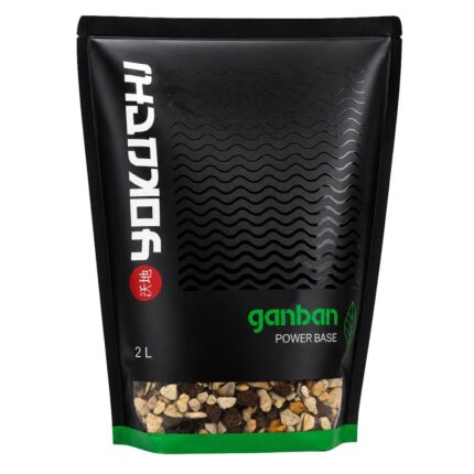 YOKUCHI GANBAN POWER BASE - 2L