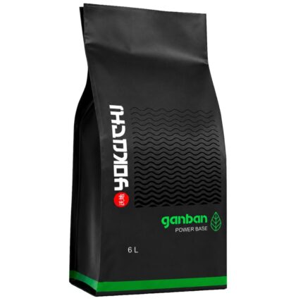 YOKUCHI GANBAN POWER BASE - 6L